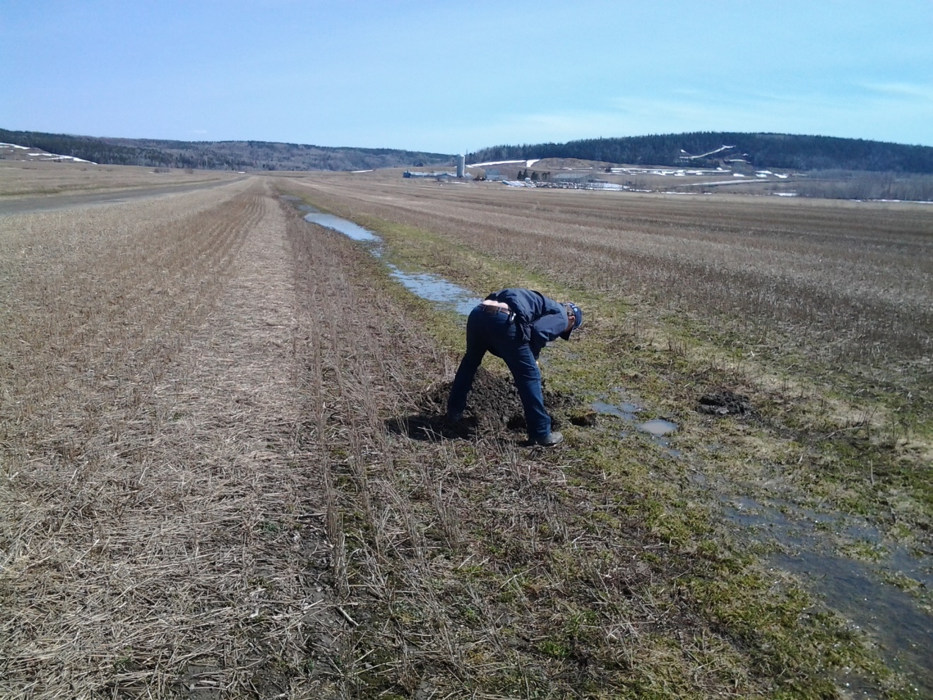 Printemps 2017 : flaques dans les baissières