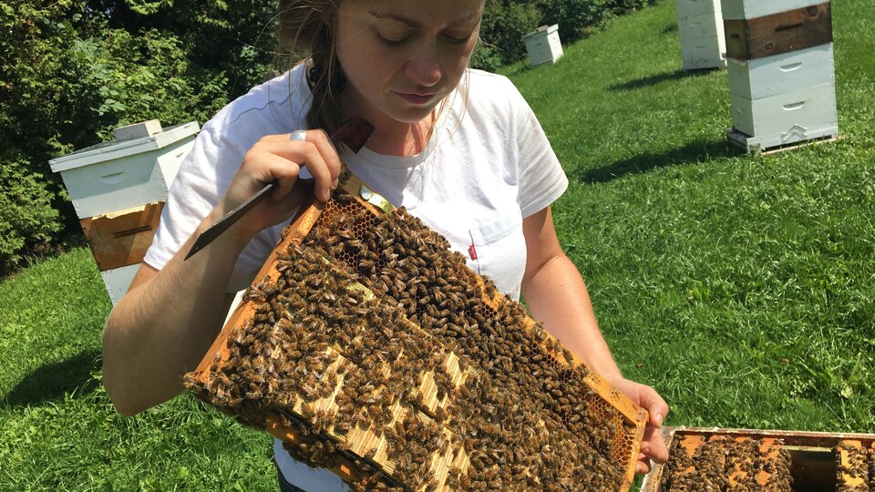 Andrée Rousseau avec sa banque de reines | © Chantal Srivastava