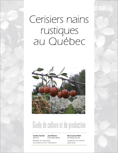 Cerisier naon rustique - Guide de production